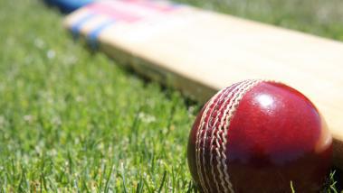 cricket_ball_on_the_grass