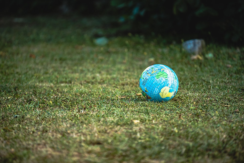 Future of the Earth with Renewable Energy